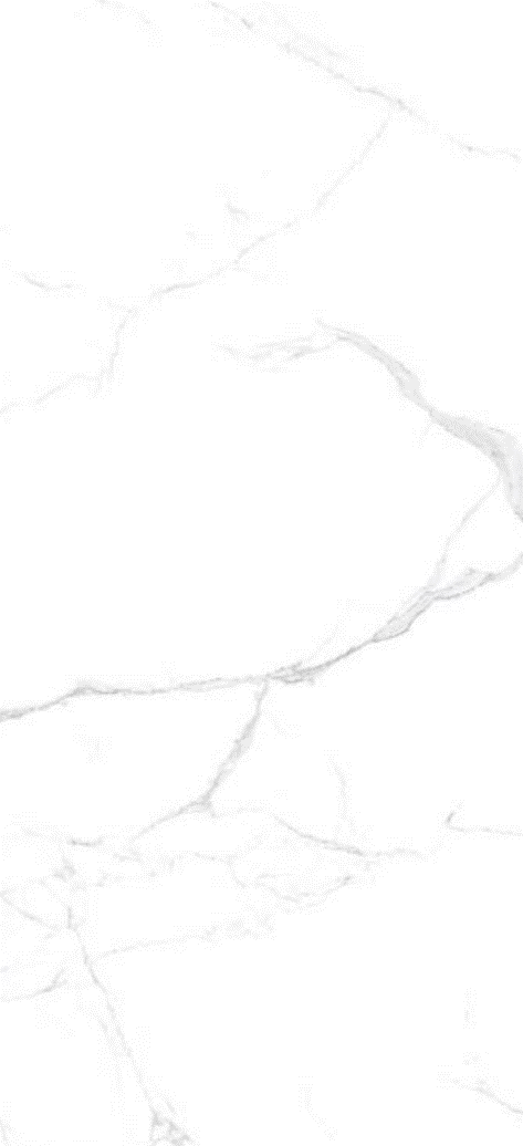 Arte Seramik - 60X120 Neo Calacatta Sılver ( Parlak )