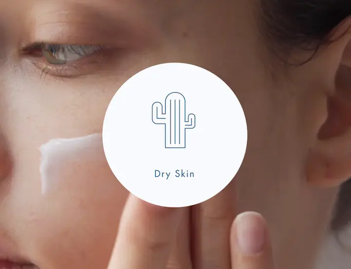 DRY-SKIN-TYPE