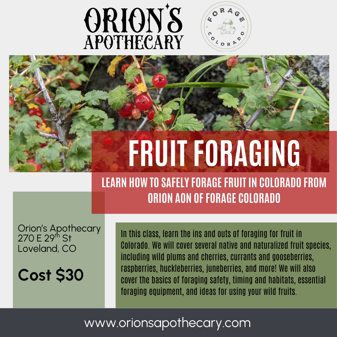 Colorado Fruit Foraging with Orion Aon