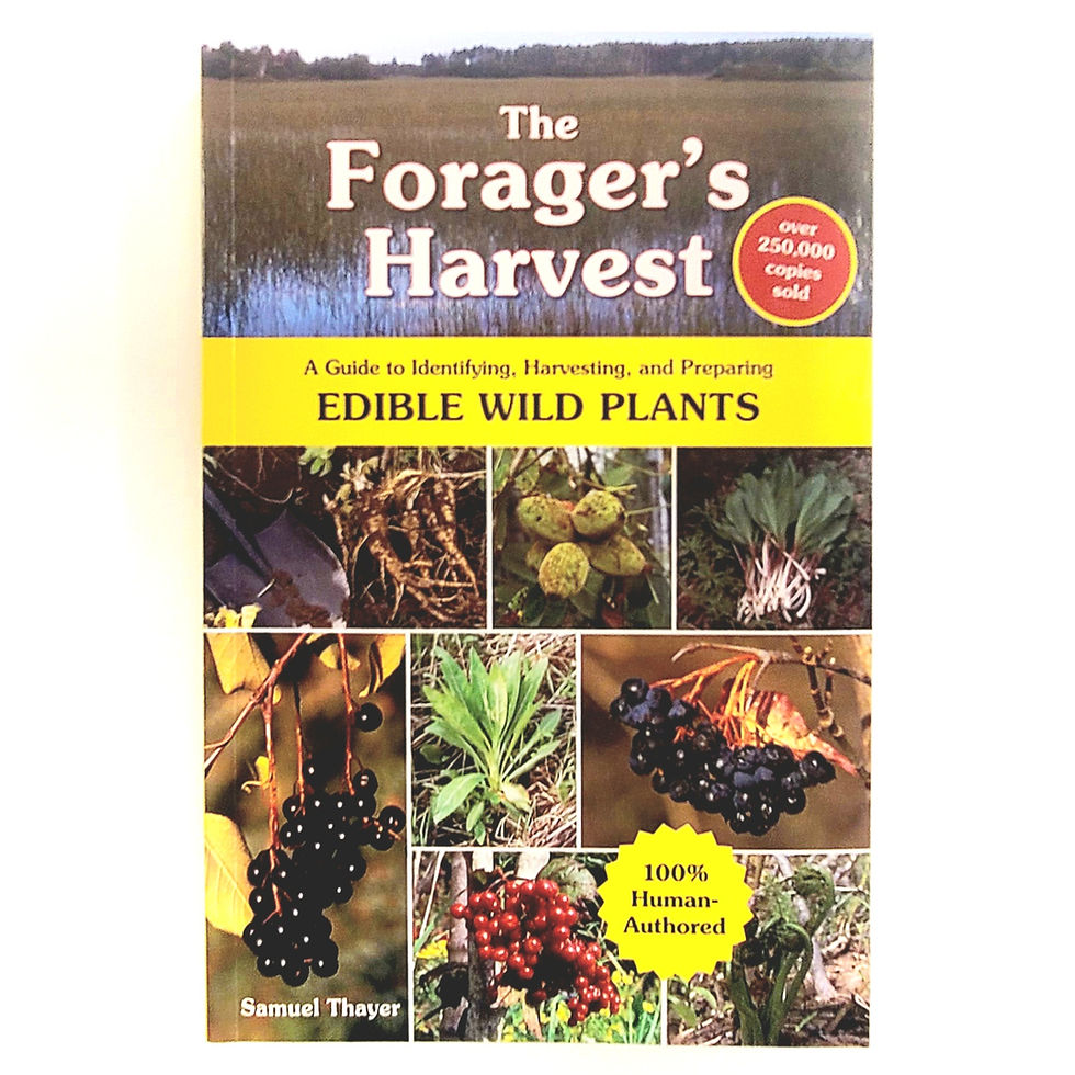 Thumbnail: Forager's Harvest