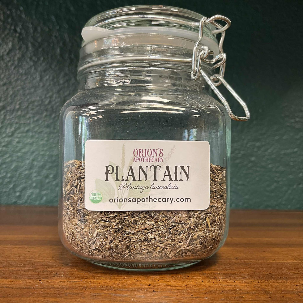 Plantain Leaf by the oz - Organic