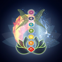 Yogu Chakra Live Dragon