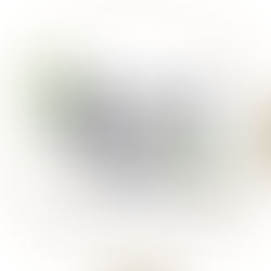 A Century of Seeds Advancing Tomorrow