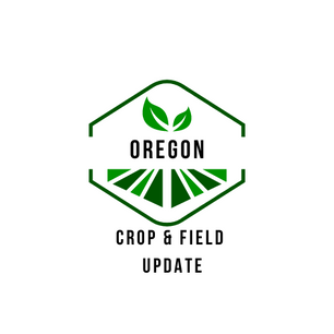 Oregon Willamette Valley Crop & Field Condition Update