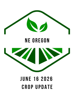 Early Harvest, Average Outlook: Summer 2026 NE Oregon Crop Report