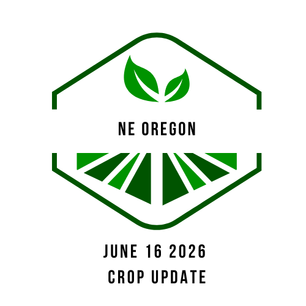 Early Harvest, Average Outlook:  Summer 2026 NE Oregon Crop Report