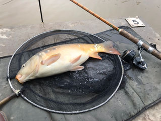 First cast and first fish of 2021