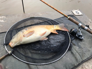 First cast and first fish of 2021
