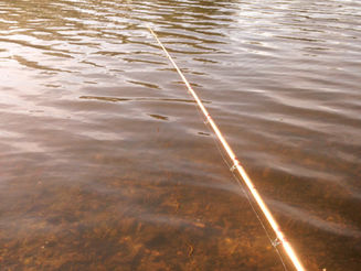 Fishing Again At Last