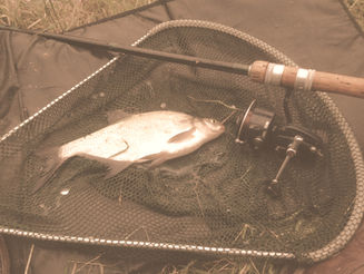 First Time On The Cut In A While