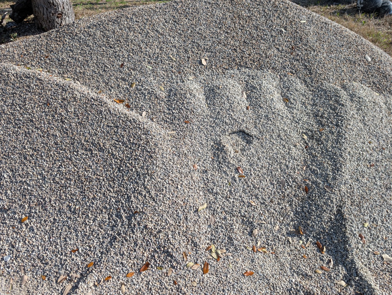 3/8 inch pea gravel