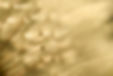 Dandelions-1280.jpg