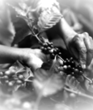 AdobeStock_293732629_edited.jpg