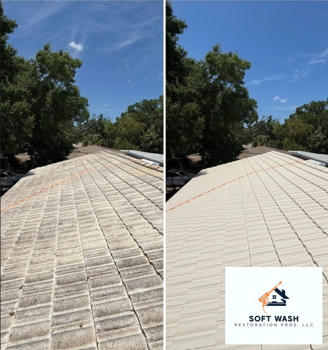 roof_cleaning_in_clearwater_florida_20260819_8121.jpg