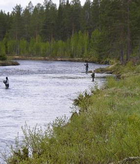 Fiske i Gräsheden