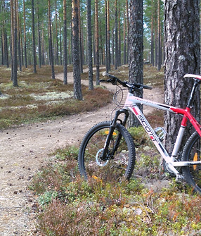 Cykeltur över Norskagränsen