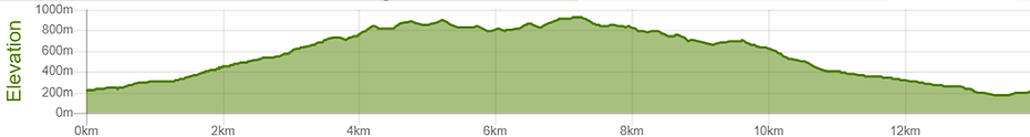 Grunter elevation-01-01.png