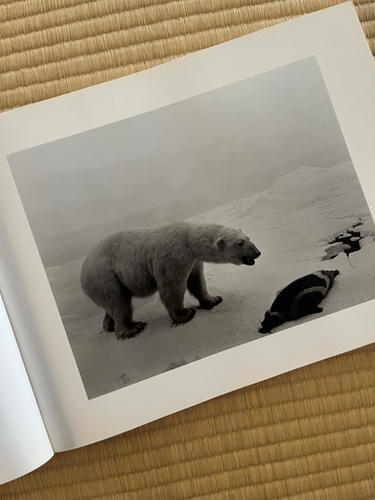 SUGIMOTO / 杉本博司写真集 署名入り | KOSHOMARIKADO
