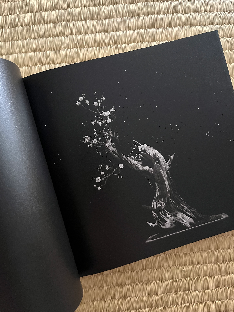 縮圖：手中一滴 Bonsai – Microcosms Macrocosms / 山本昌男