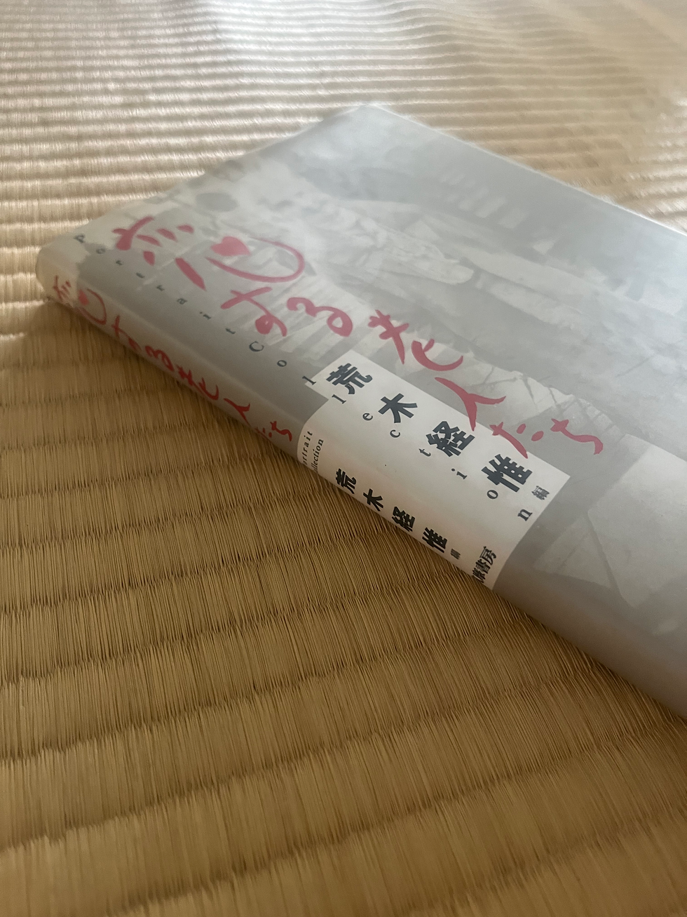 縮圖：恋する老人たちPortrait Collection 1 / 荒木経惟