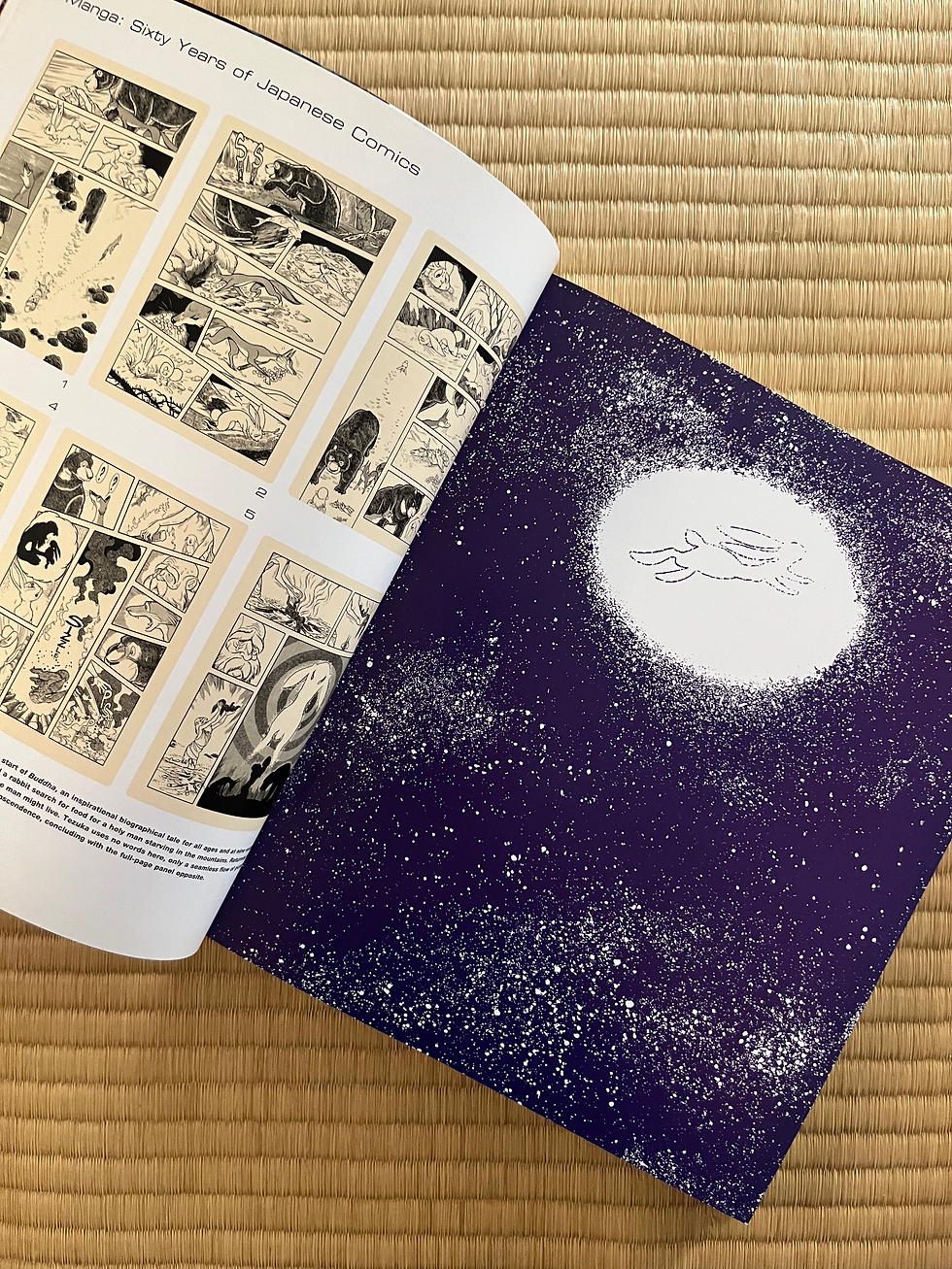 Miniature : Manga Sixty Years of Japanese Comics  日本マンガ文化を世界へ紹介した決定版ガイド