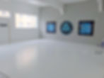 Telas Abstratas Para Academia De Jiu-Jitsu