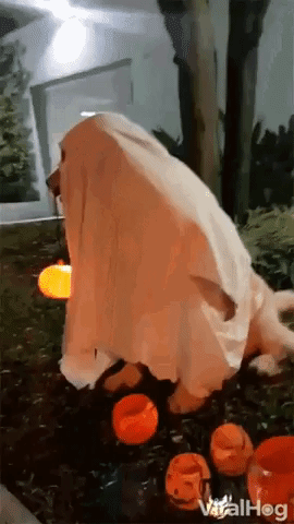 9- “Dord”, a palavra fantasma.gif