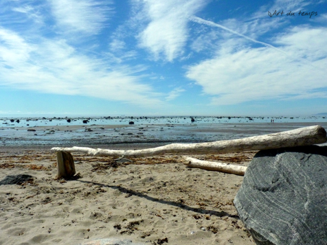 Baie des Grandes Bergeronnes