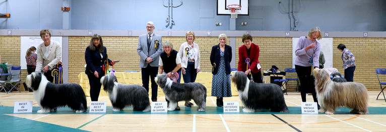 Best in Show +.JPG