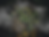 Screenshot 2022-11-10 at 12.19.21.png