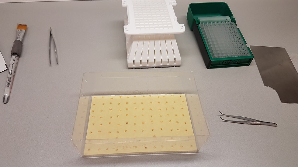 Thumbnail: Custom Made Dispensers