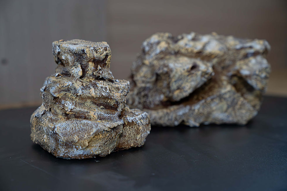 DESERT ROCK