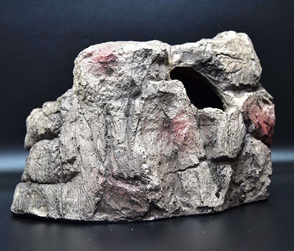 Miniatura: TANA IN ROCCIA FINTA