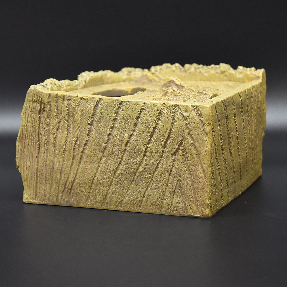 Miniatura: TANA UMIDA ANGOLARE