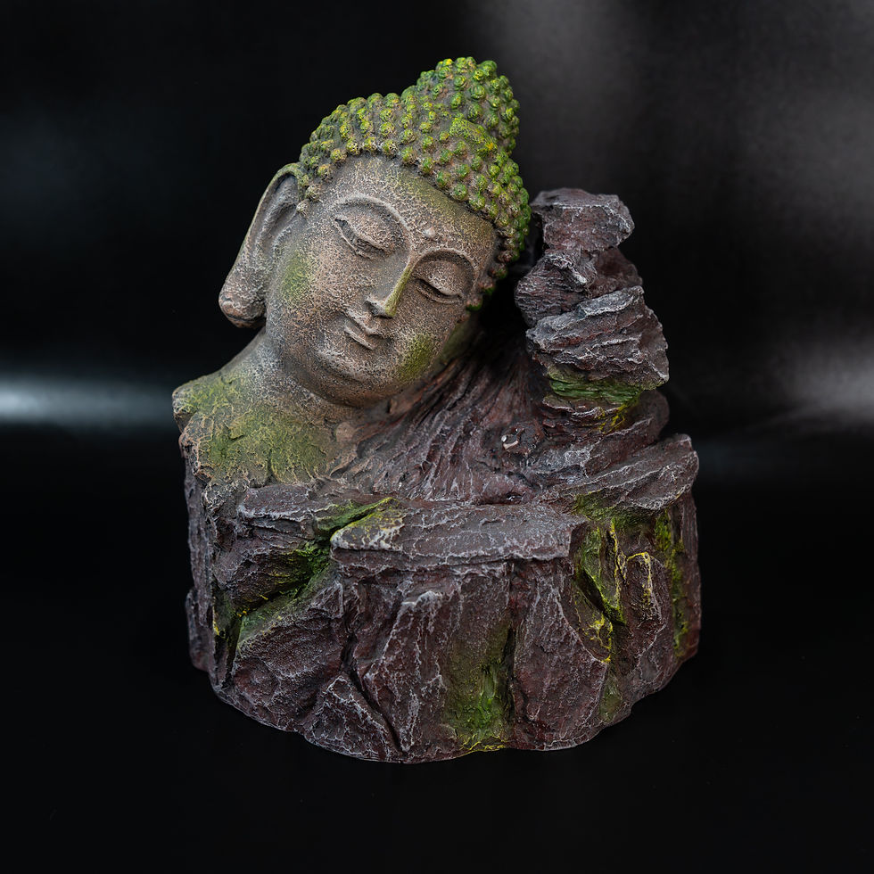 FONTANA CON CASCATA BUDDHA