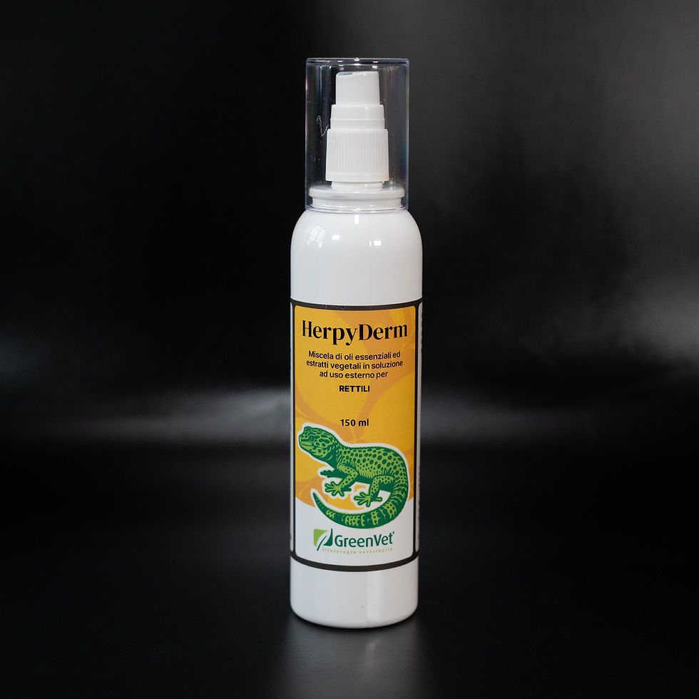 HERPY DERM