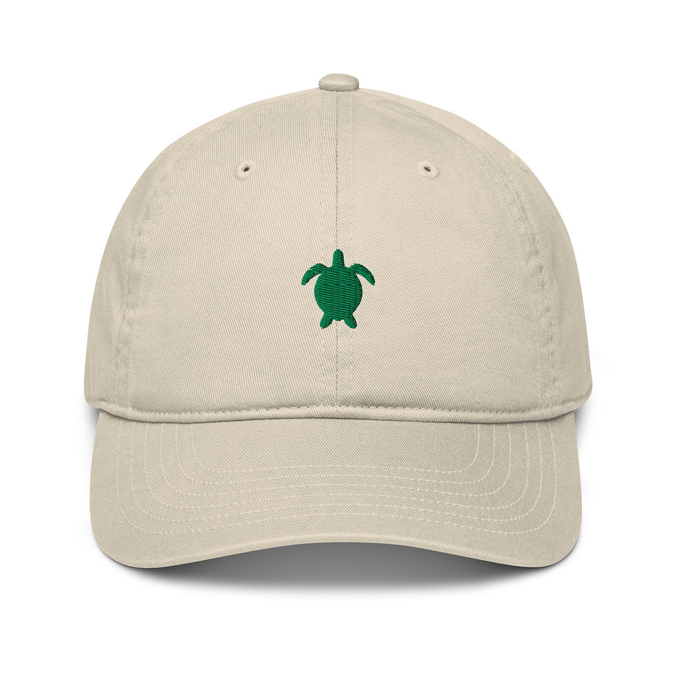 Thumbnail: Turtle Cap
