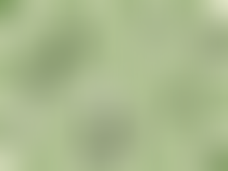 Winning a Chess Tournament