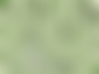 Queen captured, Black resigns