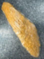 Scottish breaded haddock