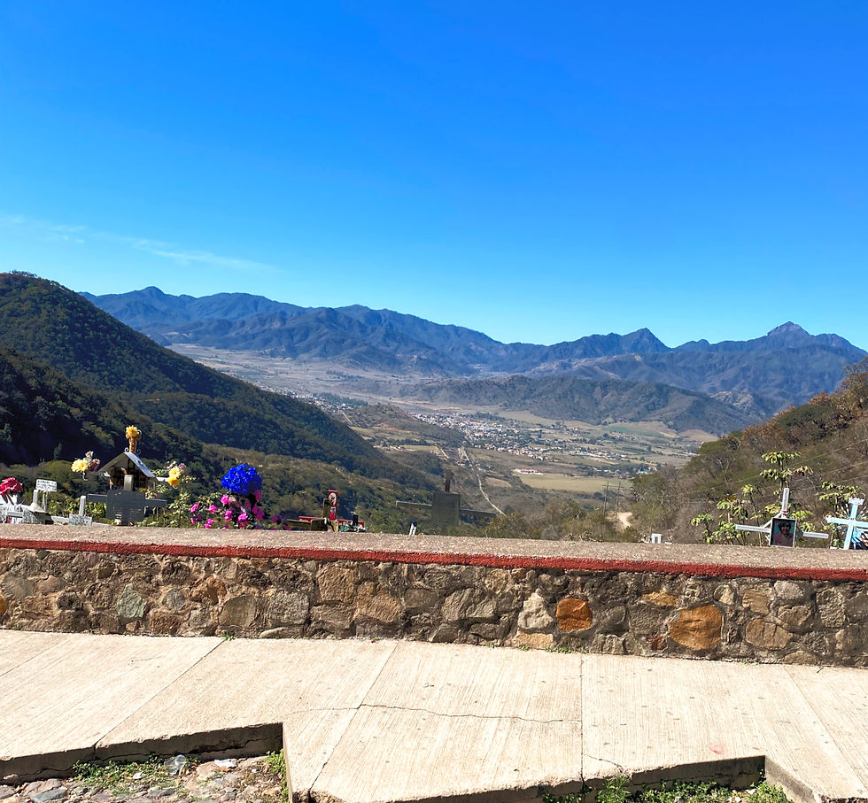 View from the top, looking out over Talpa.