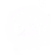 https://www.fsww.ch/truast