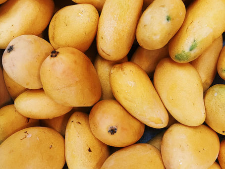 Mulgoba Mango (Malgova)