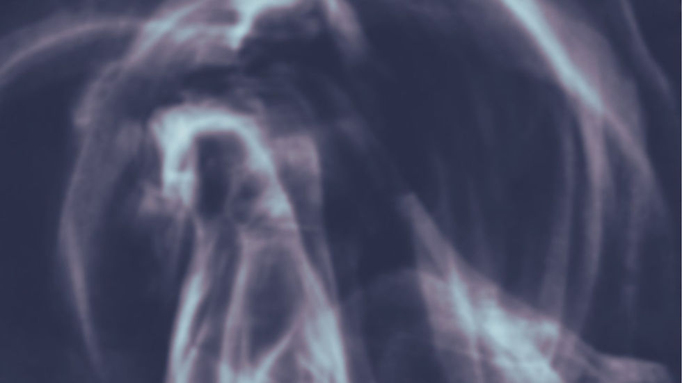 Wix Strip Background smaller (7).jpg