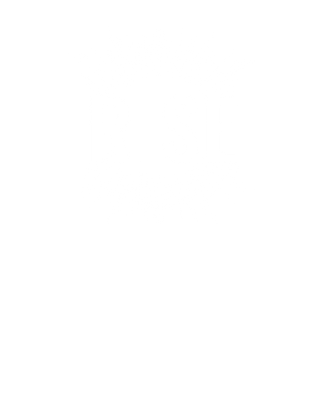 RISE IG Post (1).png