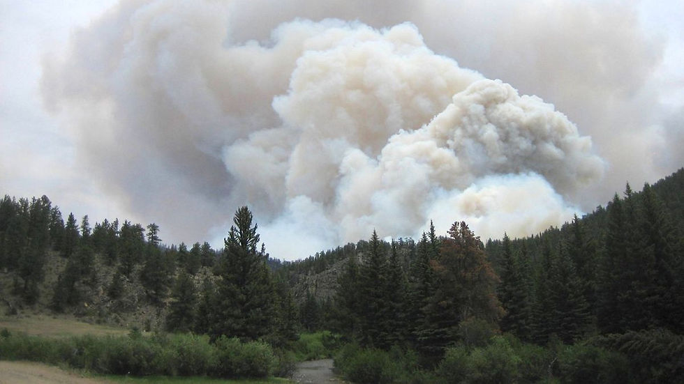 WildfiresSmoke in a rural forest area