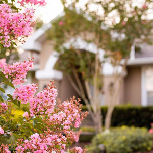 Spring flowers in front of a home