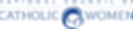 NCCWLogoPMS286 (1).png