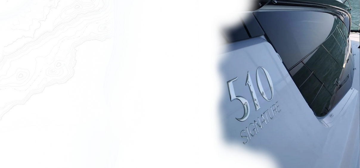 discover_your(1).png