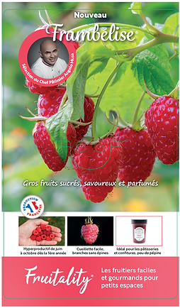 Frambélise_Recto_Verso_Page_1.png